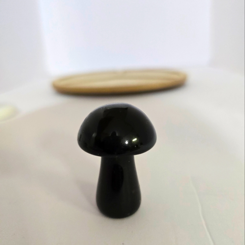 Black Obsidian mushroom